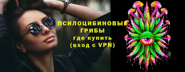 ПСИЛОЦИБИНОВЫЕ ГРИБЫ Армянск