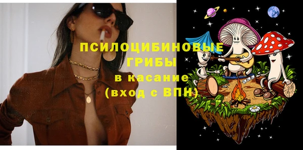 соль ск Аркадак